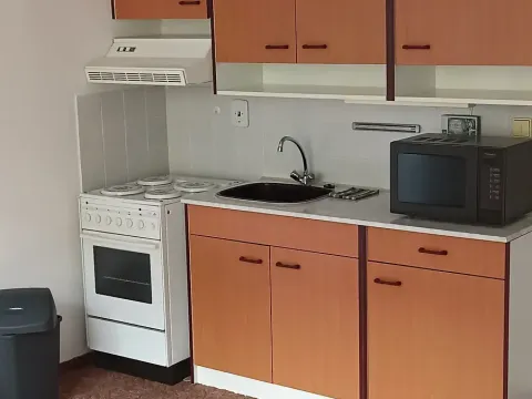 Pronájem bytu 1+kk, Děčín, Dvořákova, 44 m2