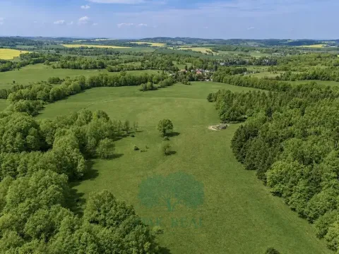 Prodej louky, Vrchotovy Janovice, 274000 m2