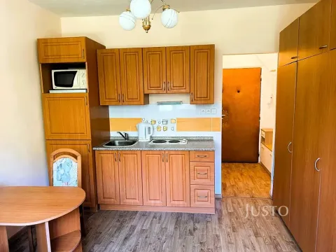 Pronájem bytu 1+kk, Písek, 17. listopadu, 19 m2