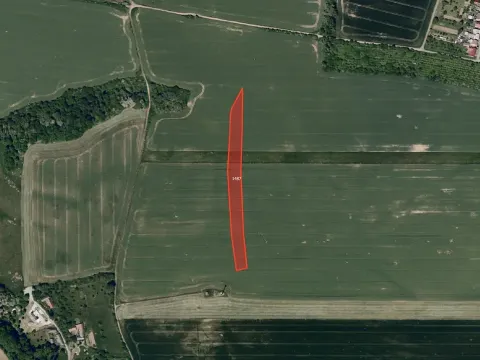 Prodej pole, Osvětimany, 4331 m2