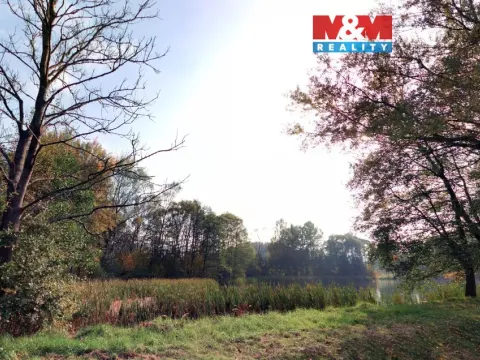 Prodej louky, Petrovice - Obděnice, 7011 m2