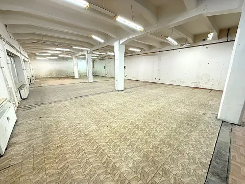 Pronájem skladu, Přerov, Čechova, 300 m2