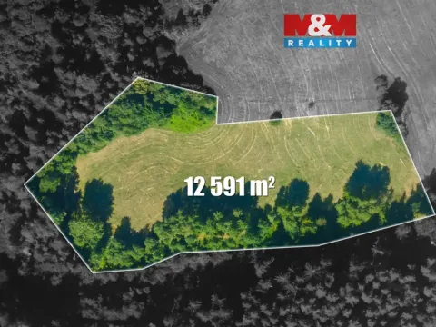 Prodej louky, Český Dub - Libíč, 12591 m2