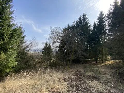 Prodej pozemku, Městečko Trnávka - Lázy, 384 m2