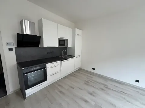 Pronájem bytu 1+kk, Praha - Krč, U strže, 25 m2