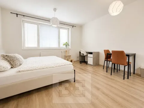 Pronájem bytu 1+kk, Brno, Vranovská, 26 m2