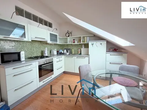 Pronájem bytu 1+kk, Olomouc, Krakovská, 80 m2