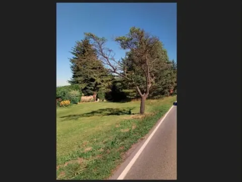 Prodej pozemku, Trhové Sviny - Rankov, 915 m2