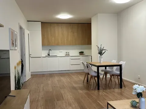 Pronájem bytu 3+kk, Praha - Karlín, Pernerova, 86 m2