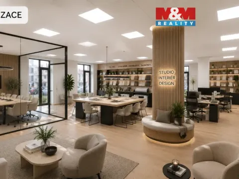 Prodej kanceláře, Plzeň - Severní Předměstí, Otýlie Beníškové, 145 m2