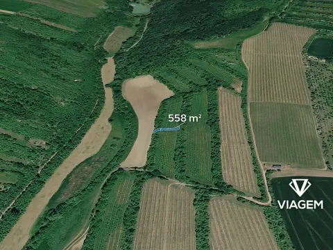 Prodej pole, Žarošice, 558 m2