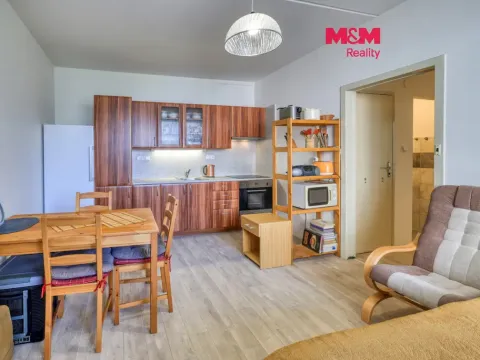 Prodej bytu 1+1, Písek - Pražské Předměstí, Jablonského, 41 m2