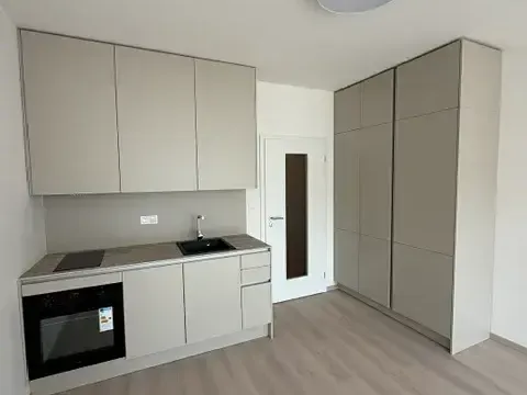 Pronájem bytu 1+kk, Praha - Vysočany, Gerstelova, 48 m2