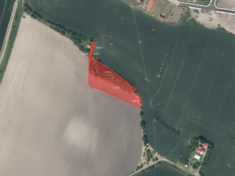 Prodej pole, Dobrovice, 3441 m2