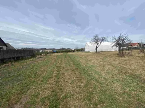 Dražba pozemku pro bydlení, Zálesí, 1254 m2