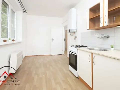 Pronájem bytu 1+1, Ostrava, Newtonova, 41 m2