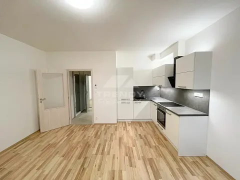 Pronájem bytu 1+kk, Plzeň, Nemocniční, 29 m2