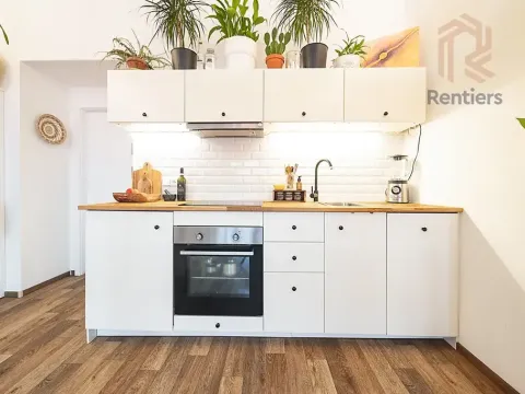 Pronájem bytu 1+kk, Praha - Nusle, V Horkách, 32 m2