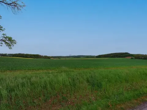Prodej pole, Očelice, 10689 m2