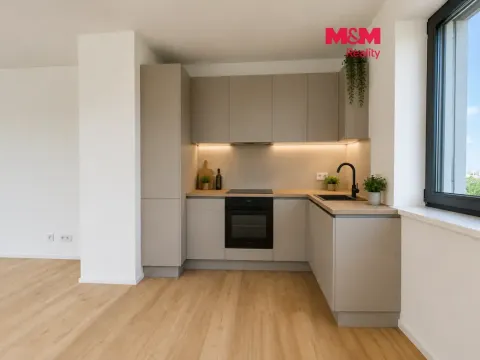 Pronájem bytu 3+kk, Plzeň, Na Průhonu, 92 m2