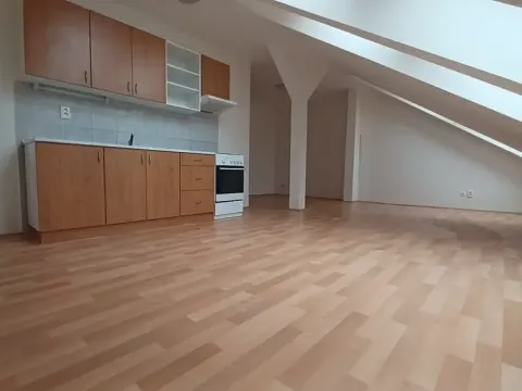 Pronájem bytu 2+kk, Plzeň, Bělohorská, 57 m2