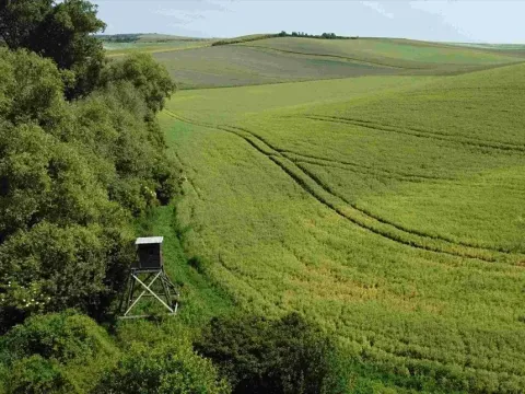 Dražba louky, Bučovice, 3134 m2