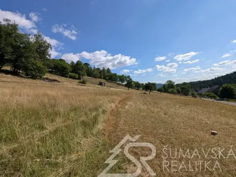 Prodej pozemku, Petrovice u Sušice - Pařezí, 4773 m2