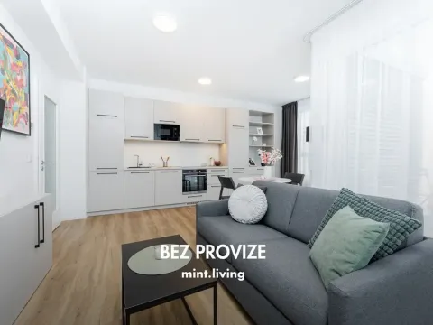 Pronájem bytu 2+kk, Praha - Vysočany, Odkolkova, 49 m2