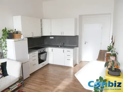 Pronájem bytu 2+kk, Praha - Holešovice, Bubenské nábřeží, 45 m2