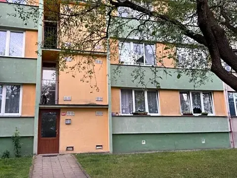 Pronájem bytu 3+1, Louny, Přemyslovců, 81 m2