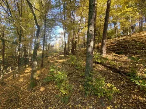 Dražba pozemku, Železný Brod, 2828 m2