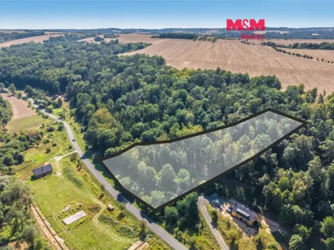 Prodej lesa, Tupadly, 5004 m2