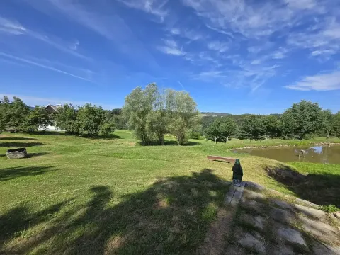 Prodej louky, Dolní Dvořiště, 562199 m2