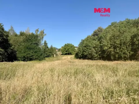 Prodej pozemku pro bydlení, Velemín, 5378 m2