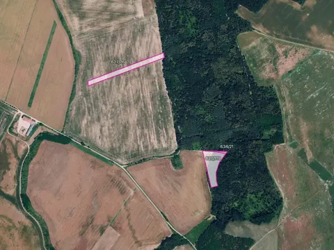 Prodej pole, Džbánice, 6560 m2