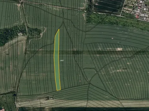 Prodej pole, Osvětimany, 4331 m2