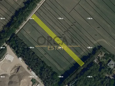 Prodej pole, Moravský Písek, 1450 m2
