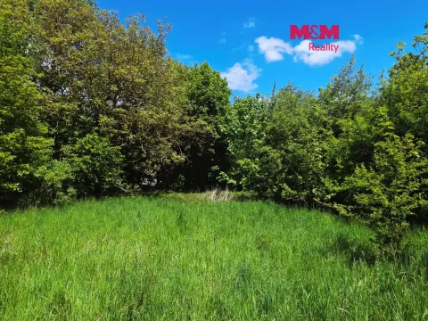 Prodej pozemku pro bydlení, Bor - Boječnice, 1093 m2