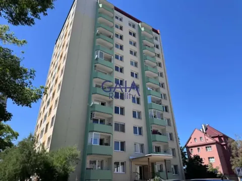 Prodej bytu 2+1, Hodonín, Sv. Čecha, 60 m2