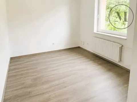 Pronájem kanceláře, České Budějovice, Hlinská, 25 m2