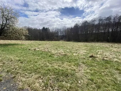Dražba louky, Jablonné v Podještědí, 692 m2