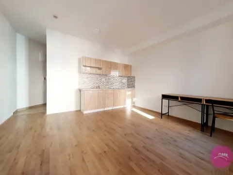 Pronájem bytu 1+kk, Olomouc, Uhelná, 35 m2