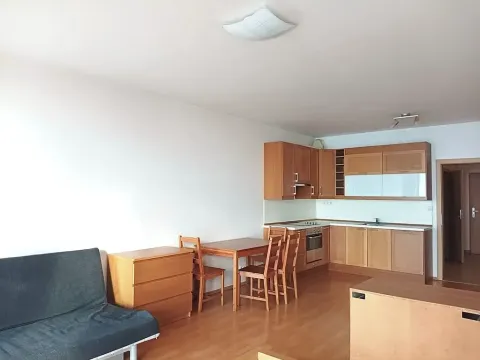 Pronájem bytu 1+kk, Praha - Krč, Panuškova, 44 m2