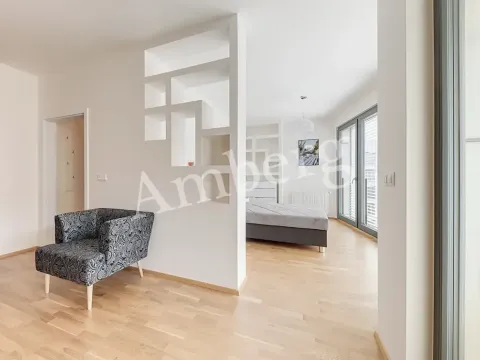 Pronájem bytu 1+kk, Praha - Karlín, Breitfeldova, 38 m2