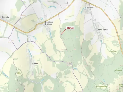 Dražba lesa, Slavkov, 1060 m2