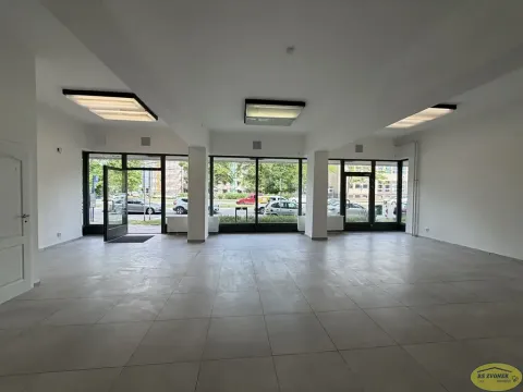 Pronájem obchodního prostoru, Kroměříž, Tovačovského, 101 m2