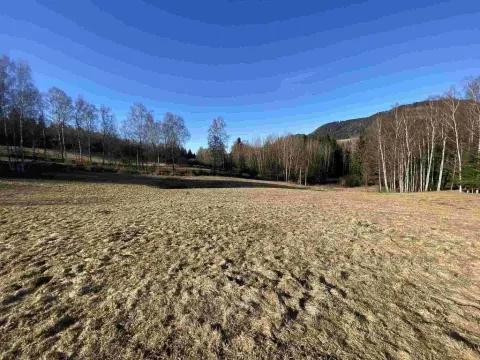 Prodej pozemku, Bernartice, 11266 m2