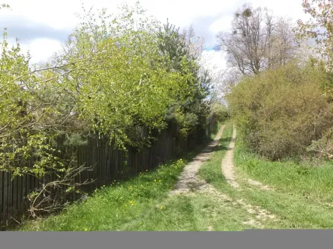 Prodej pozemku, Vítkov, 3225 m2