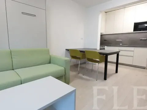 Pronájem bytu 1+kk, Praha - Žižkov, Hartigova, 36 m2