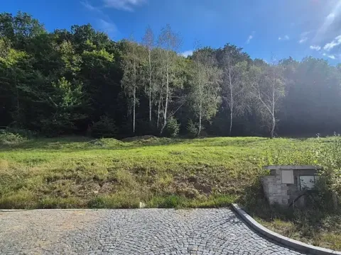 Prodej pozemku pro bydlení, Řevnice, Sochorova, 770 m2